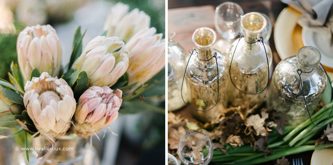 Liesl le Roux Photography__0008