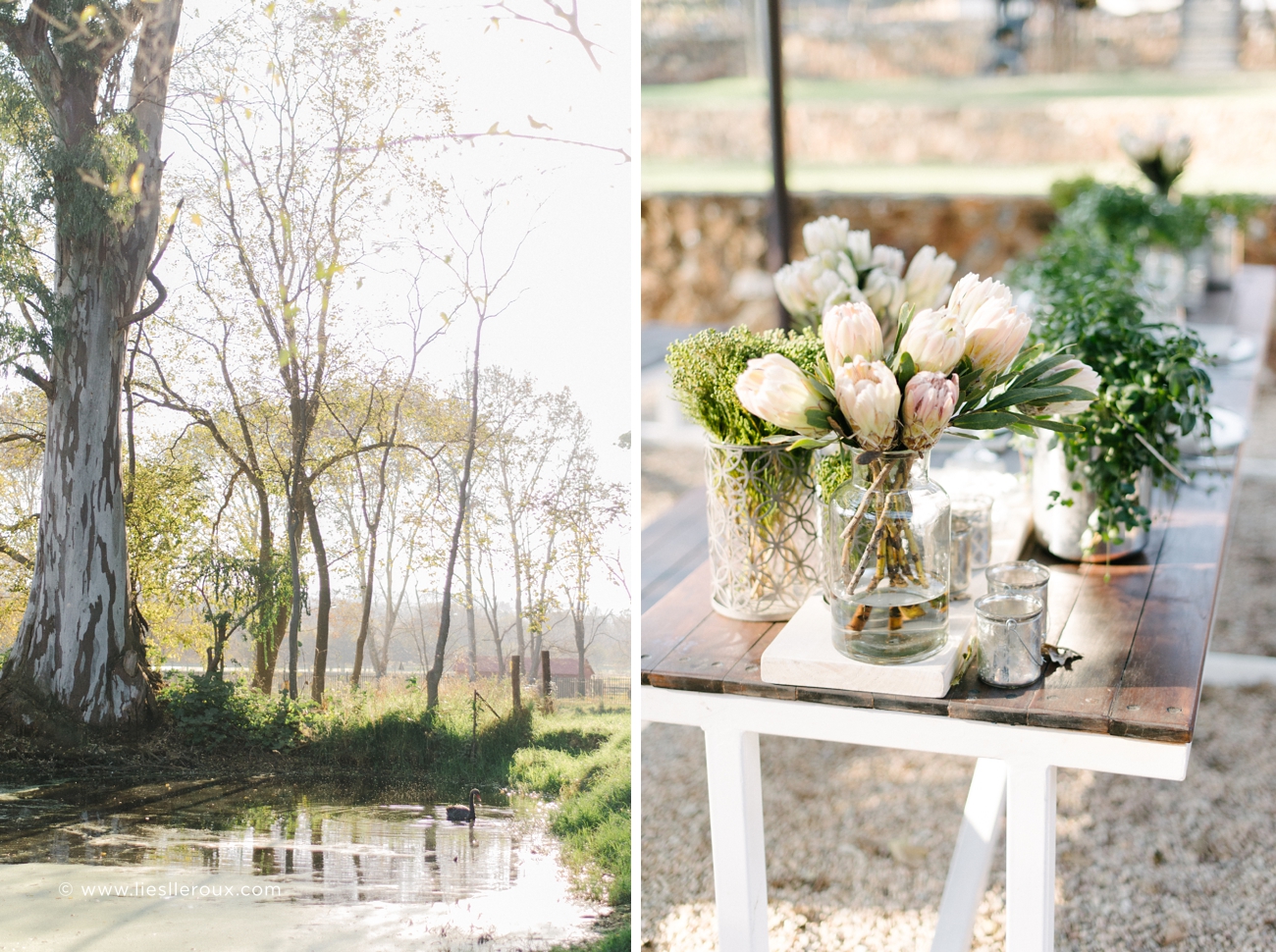 Liesl le Roux Photography__0019